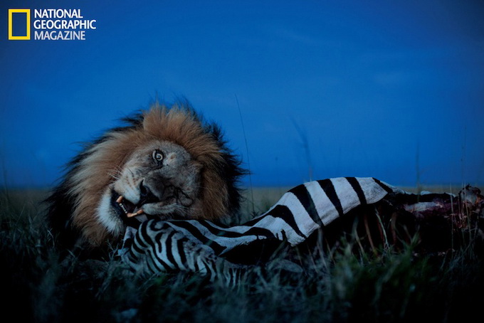 natgeo05.jpg