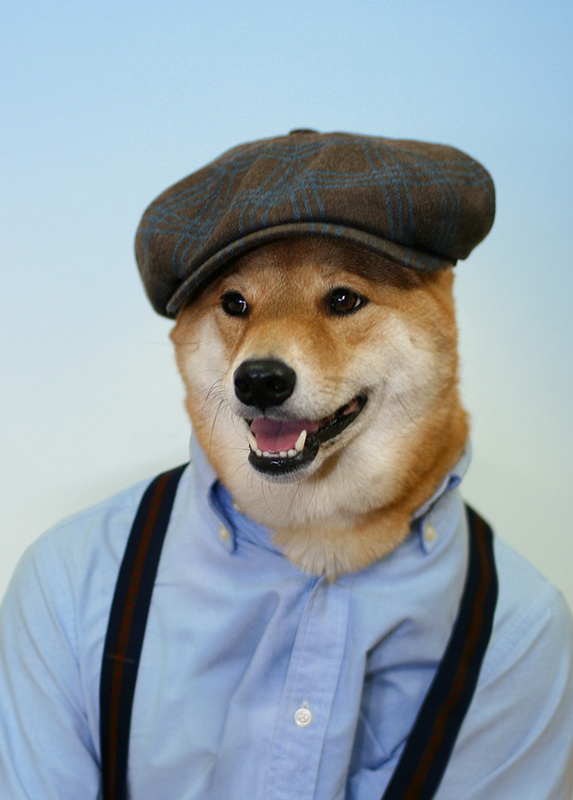 MenswearDog1.jpg