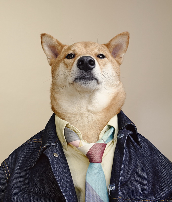 MenswearDog10.jpg