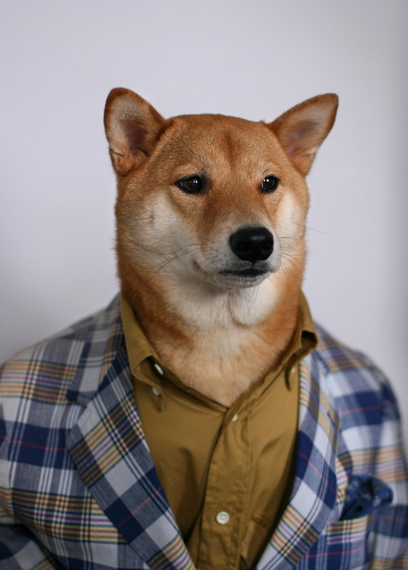 MenswearDog3.jpg