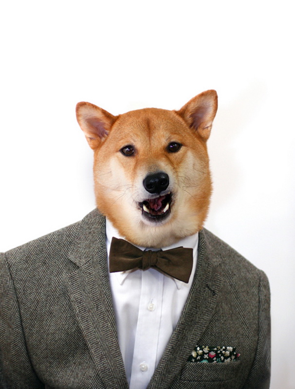 MenswearDog4.jpg