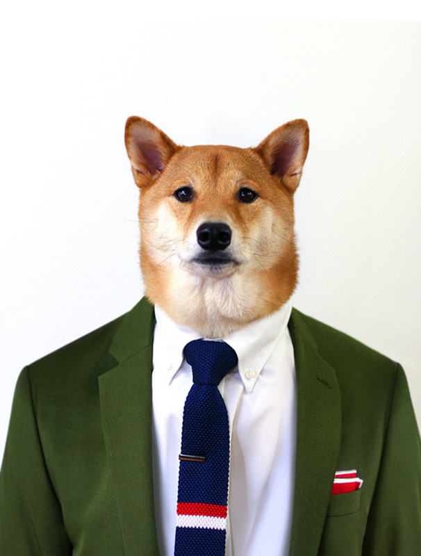 MenswearDog5.jpg