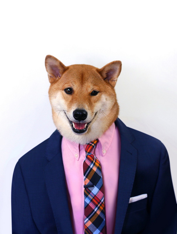 MenswearDog6.jpg