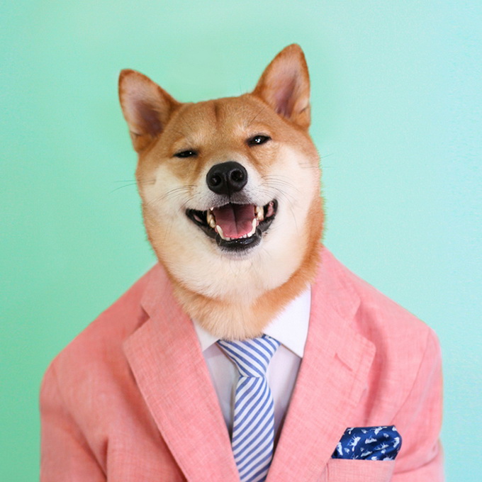 MenswearDog9.jpg