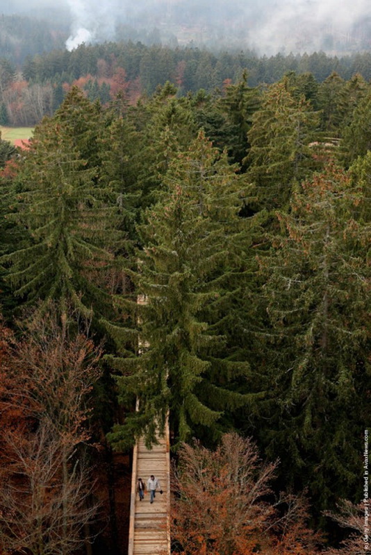 The-Worlds-Longest-Tree-Top-Walk8-640_7.jpg