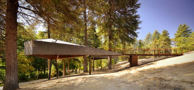 Tree-Snake-House1-640x_08.jpg