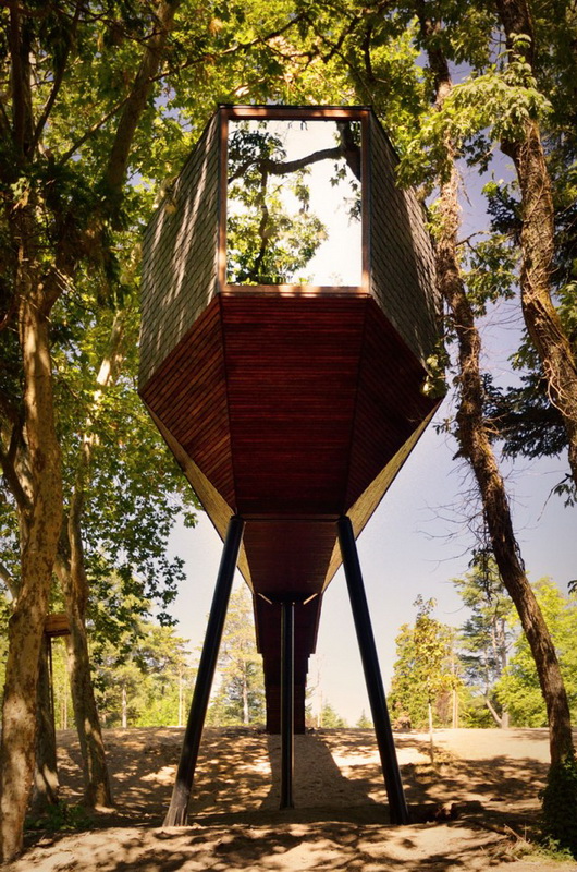 Tree-Snake-House1-640x_11.jpg