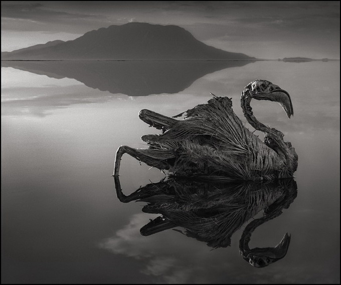 Смертельное озеро в Танзании