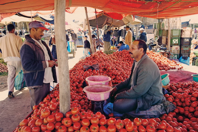 morocco-092-600x914.jpg