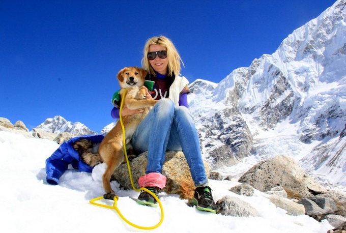 dogmounteverest5.jpg