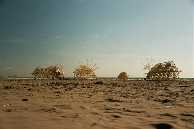 14132032_original.jpg