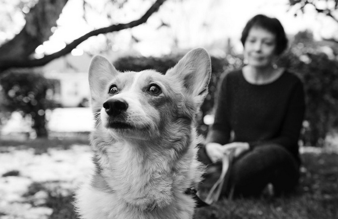dog__14.jpg