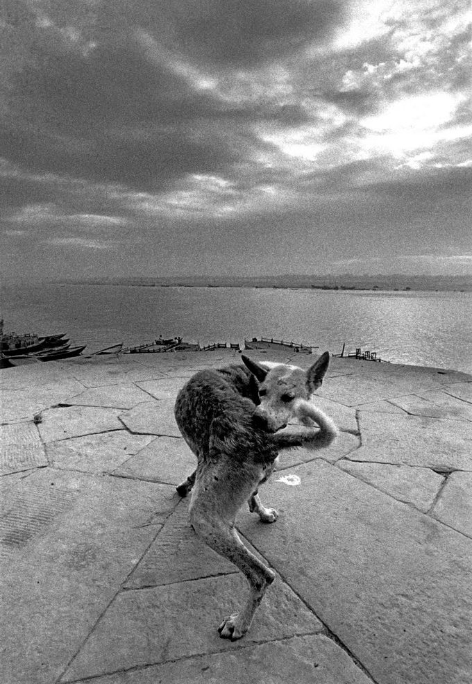 FerdinandoScianna14.jpg