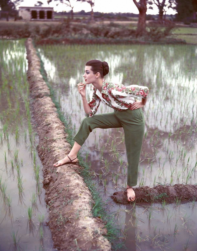 NormanParkinson17.jpg