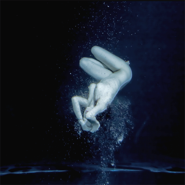 Jeff Robb11.gif