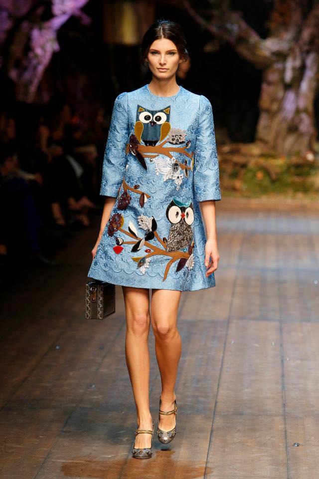 dolce-gabbana-fall-winter-2014-show18.jpg