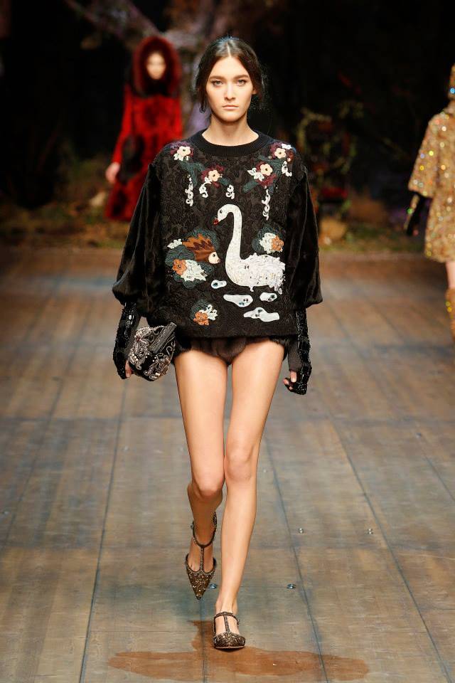 dolce-gabbana-fall-winter-2014-show5.jpg