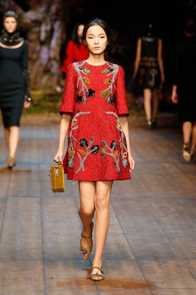 dolce-gabbana-fall-winter-2014-show53.jpg