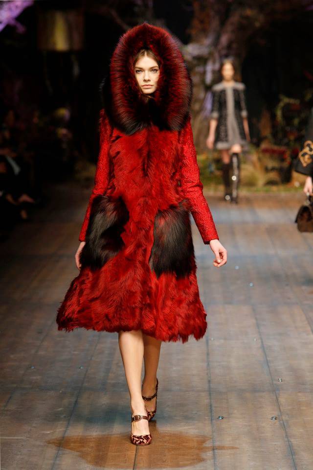 dolce-gabbana-fall-winter-2014-show6.jpg