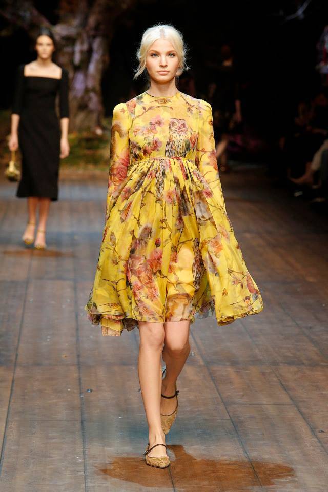 dolce-gabbana-fall-winter-2014-show62.jpg