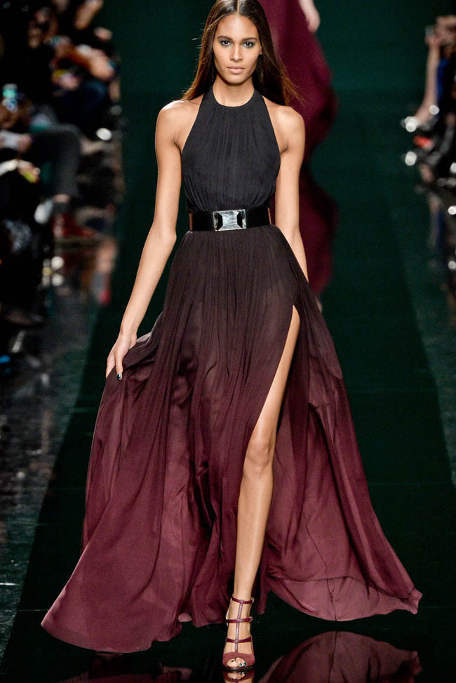 elie-saab-fall-winter-2014-show10.jpg