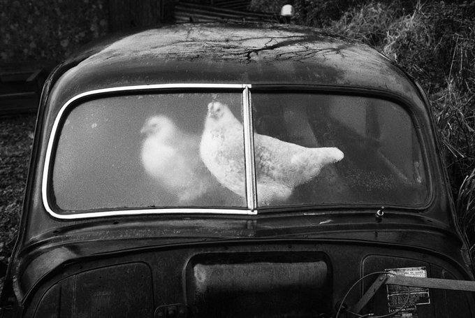 MartinParr42.jpg