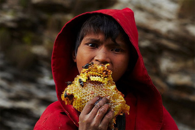 Honey-Hunters-of-Nepal1-640x_3.jpg