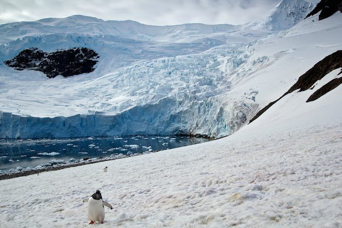 reddit_landofice__1.jpg