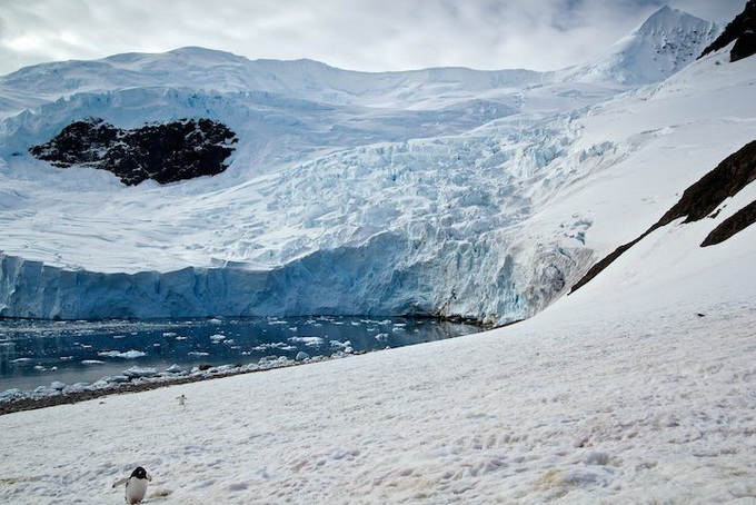 reddit_landofice__8.jpg