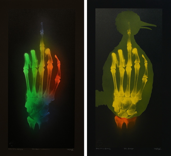 Shok111.jpg