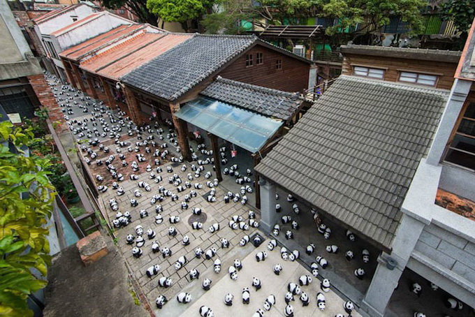 1600_pandas_hong_kong_06.jpg