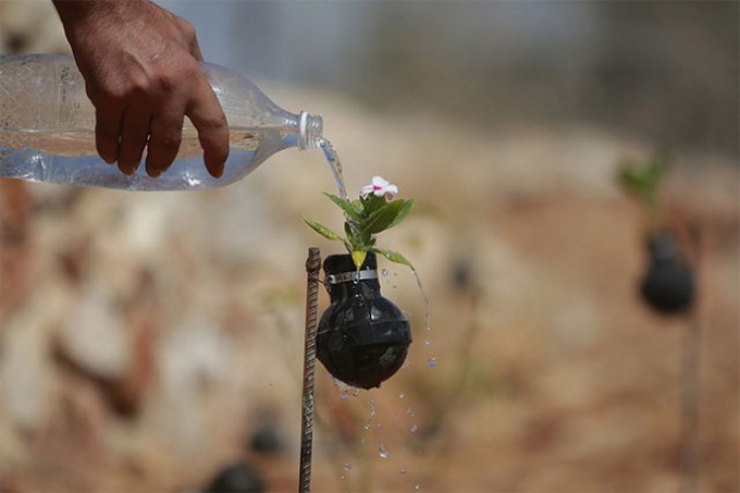 Flowers-Grown-Inside-Grenades1-640x439.jpg