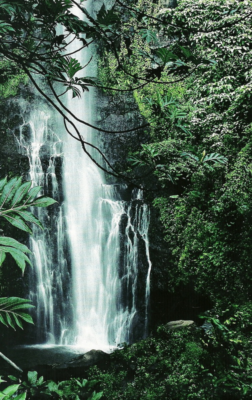 1-Waterfall-July1981.jpg