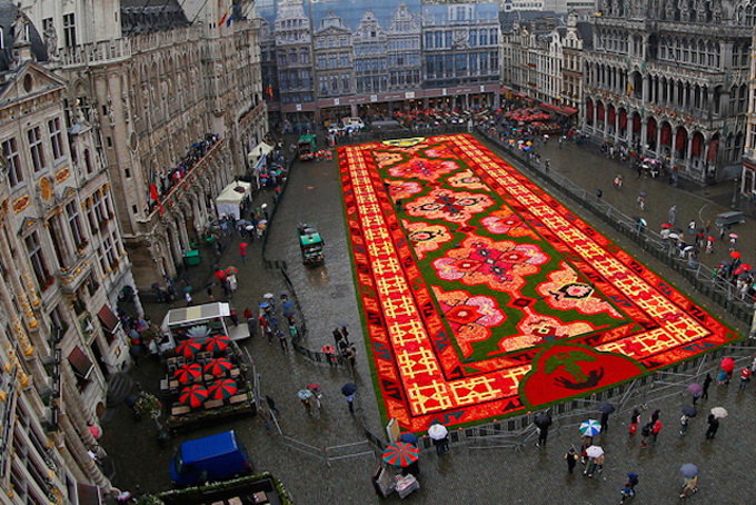 Brussels-Flower-Carpet-3.jpg