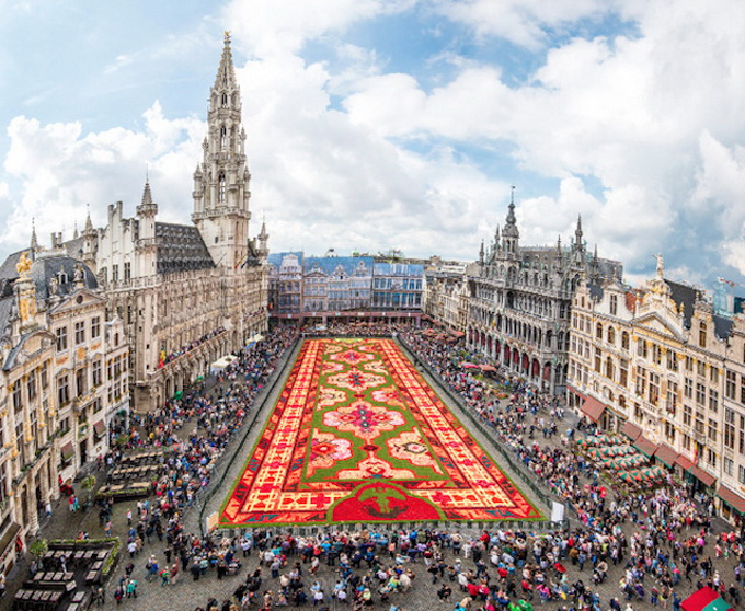 Brussels-Flower-Carpet-4.jpg