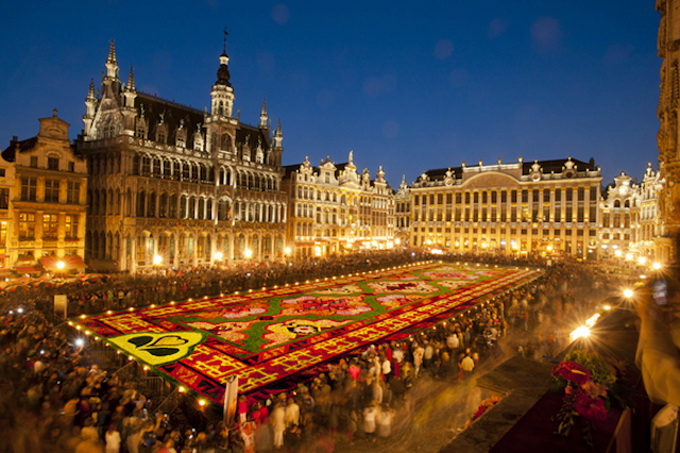 Brussels-Flower-Carpet-5.jpg