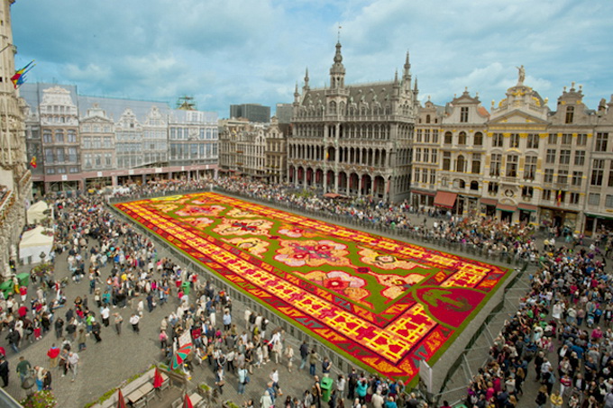 Brussels-Flower-Carpet-7.jpg