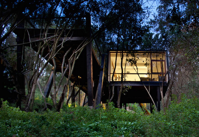 Quebrada-Tree-House-in-Chile-8.jpg