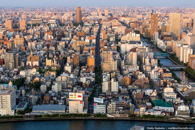 RaskalovTokio06.jpg