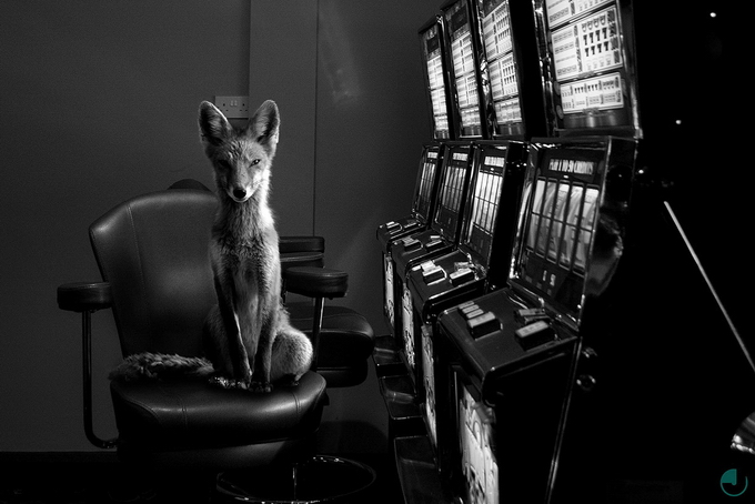 JasonMcGroarty02.jpg