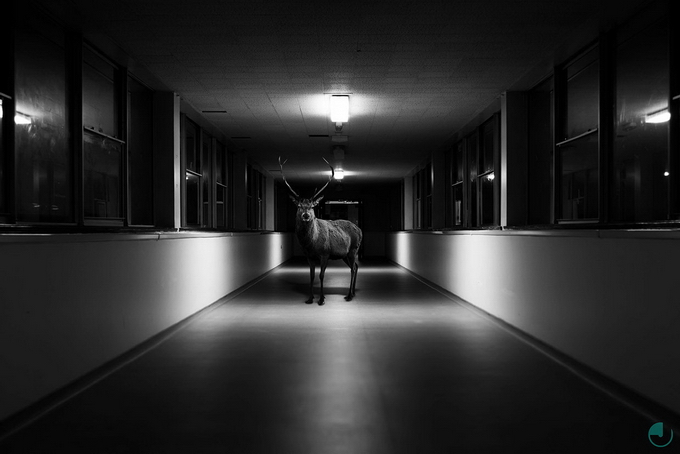 JasonMcGroarty04.jpg