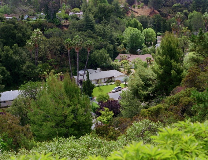 LarrySultan15.jpg