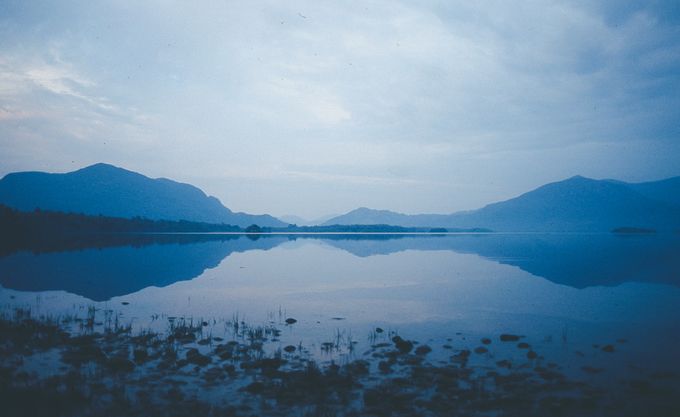 JuliaNimke09.jpg