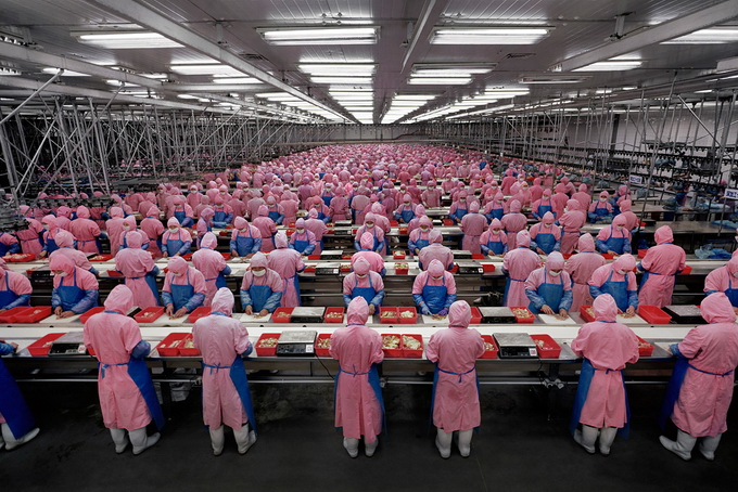 AndreasGursky16.jpg