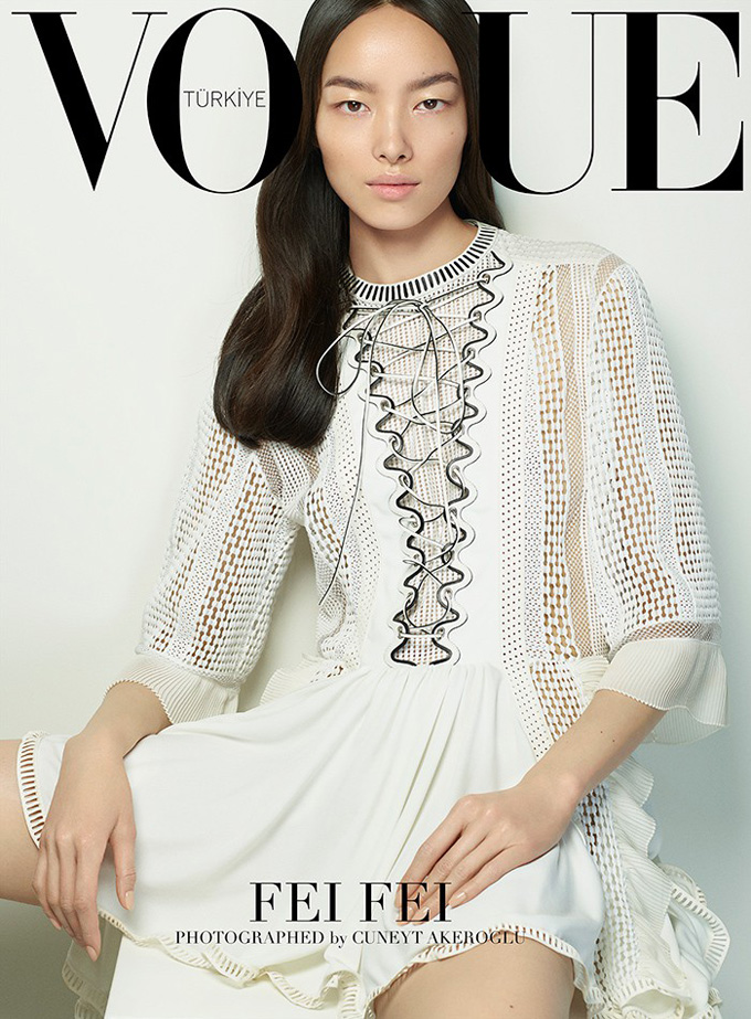 fei-fei-sun-vogue-turkey-march-2015-cover.jpg