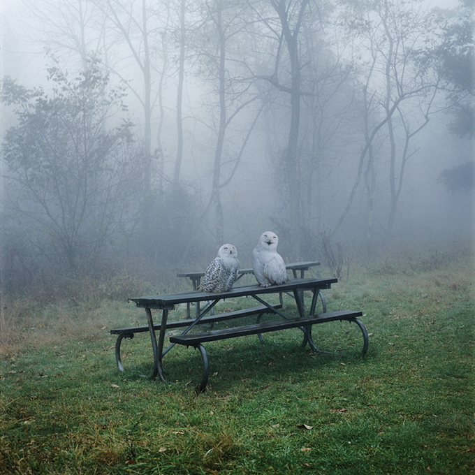 SimenJohan02.jpg