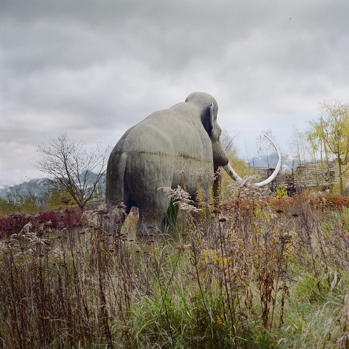 SimenJohan05.jpg