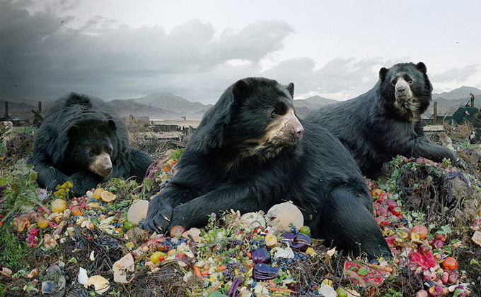 SimenJohan06.jpg