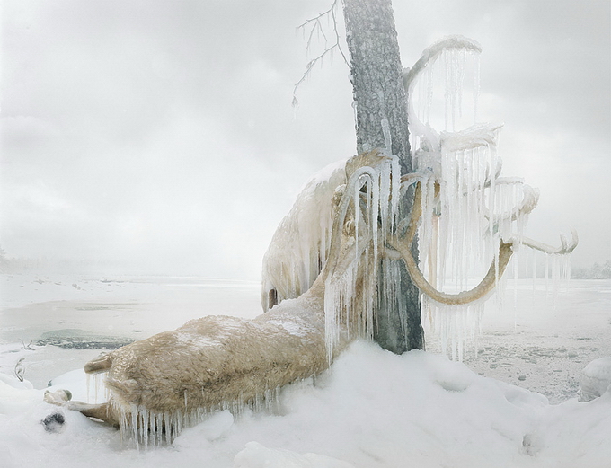 SimenJohan16.jpg