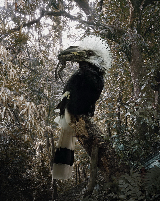 SimenJohan18.jpg